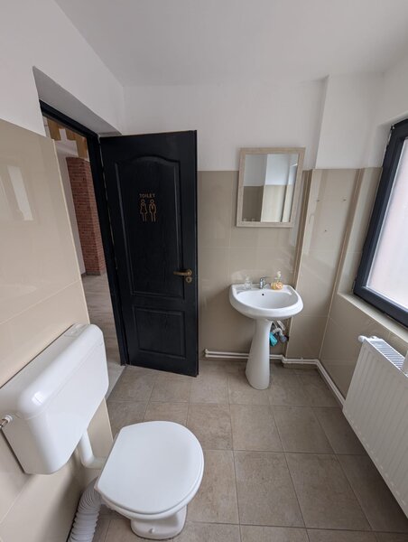 Piata Victoriei, Buzesti