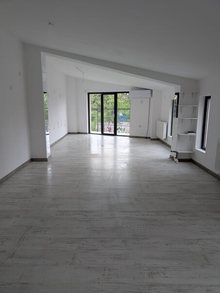 Piata Victoriei, Buzesti