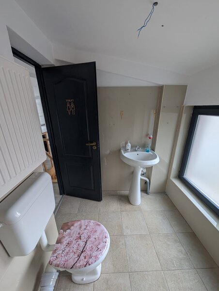 Piata Victoriei, Buzesti