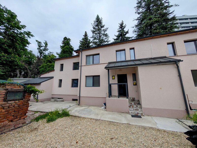 Piata Victoriei, Buzesti