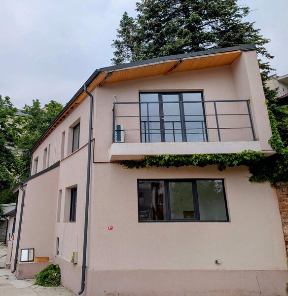 Piata Victoriei, Buzesti